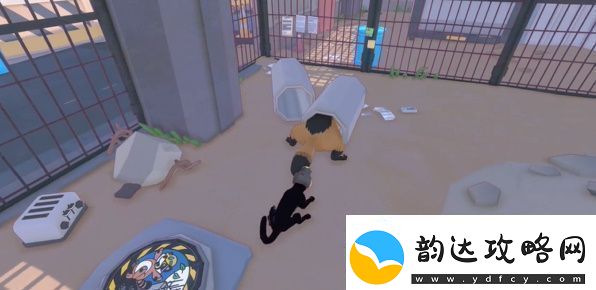 小猫咪大城市浣熊任务怎么做