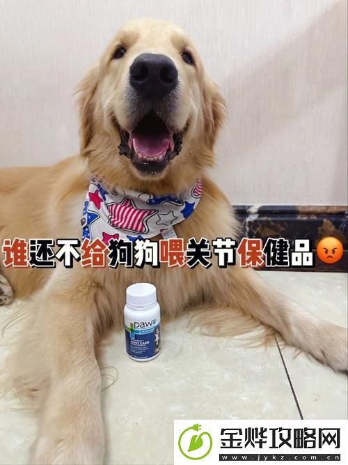 人狗胶配方大全狗狗播放