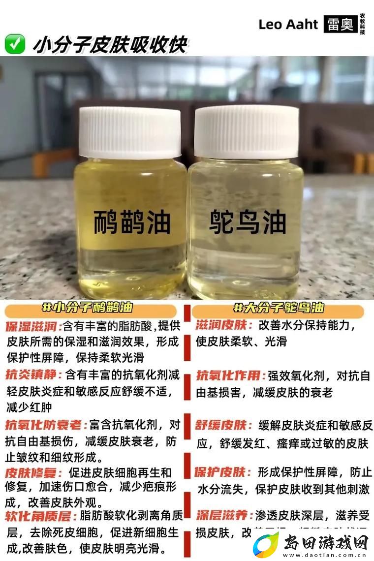 内容丰富扌桑辶畐和畐畬的区别
