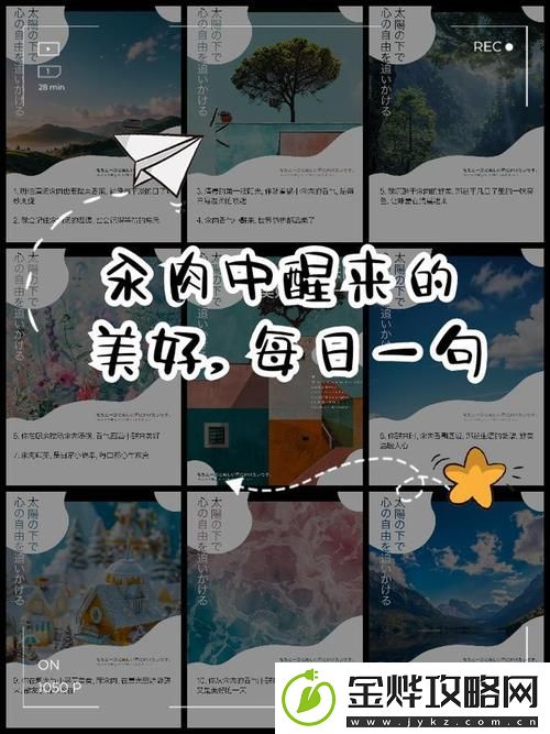 每天都在汆肉中醒来