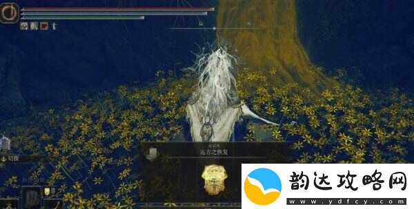 艾尔登法环祷告远方之恢复在哪里获得