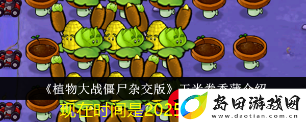 植物大战僵尸杂交版玉米卷香蒲