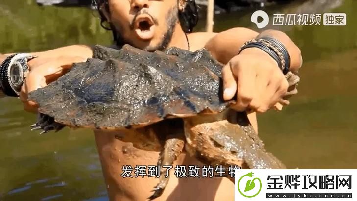 难道美国人真的只用动物胶进行所有配方吗