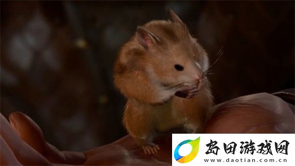博德之门3去哪里找仓鼠博德之门3仓鼠位置分享