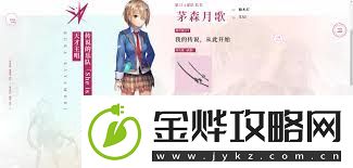 炽焰天穹b服官服有何不同炽焰天穹游戏b服与官服区别解析