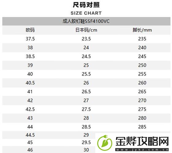 欧洲尺码与日本尺码专线