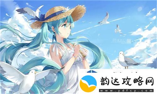 日韩产品和欧美产品的区别