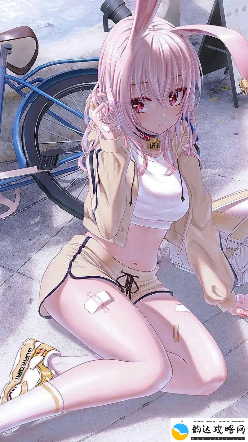 人狗胶配方大全狗狗一