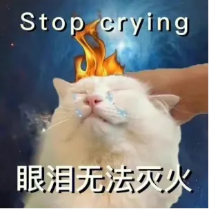 诛仙队友你好