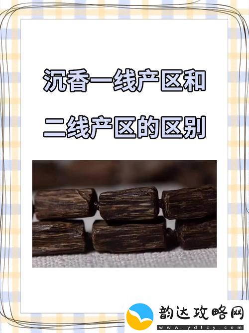 解读一线产区和二线产区的市场趋势与发展潜力青松