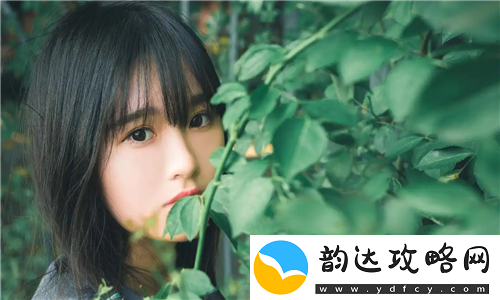 日本免费saas