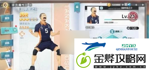 排球少年
