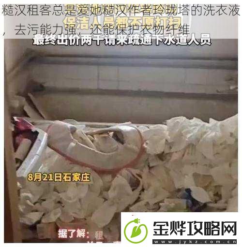 糙汉租客总是爱她糙汉作者玲珑塔的洗衣液