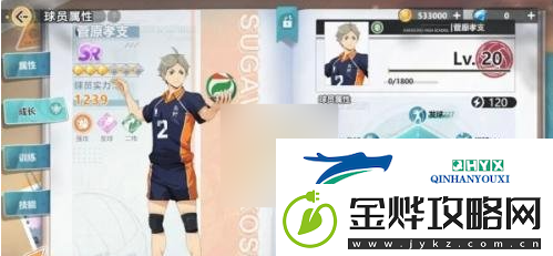 排球少年