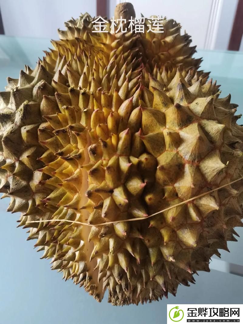 榴莲视频污视频在线观看视频