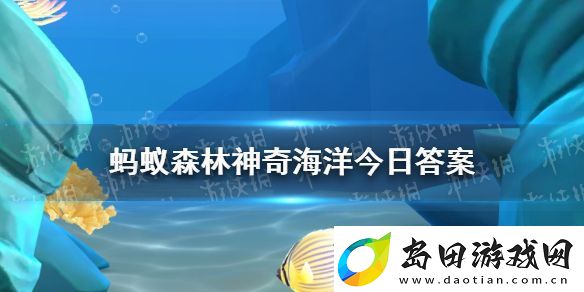 以下哪种海洋动物是恒温动物