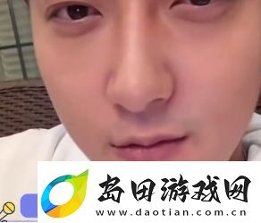 白磷型人格是什么梗络用语