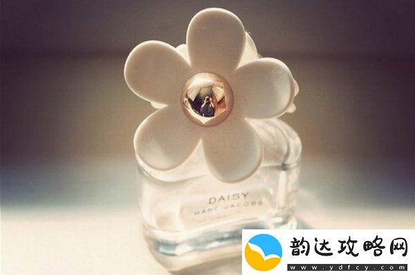 花香与香水中猫元素的融合