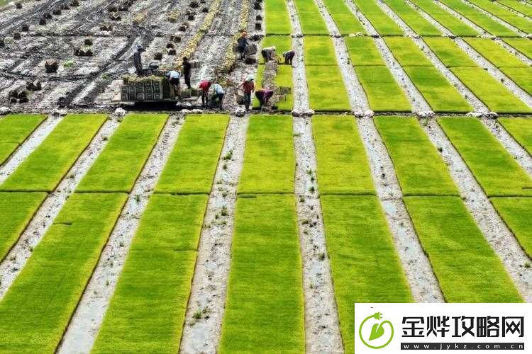 夫妻间