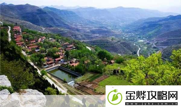 乐山蜜桃传媒有限公司的发展状态