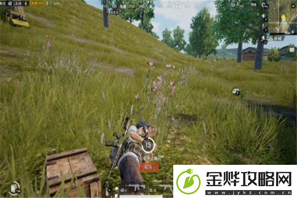 猫和老鼠新手如何进阶揭秘解锁游戏深层乐趣的实用秘籍！让你从小白变大神友