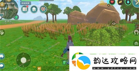 创造与魔法植物杂交