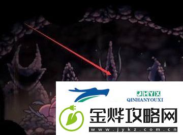 空洞骑士白色防御者位置介绍