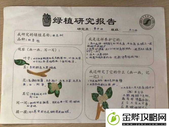 嫩草研究一二三四五六