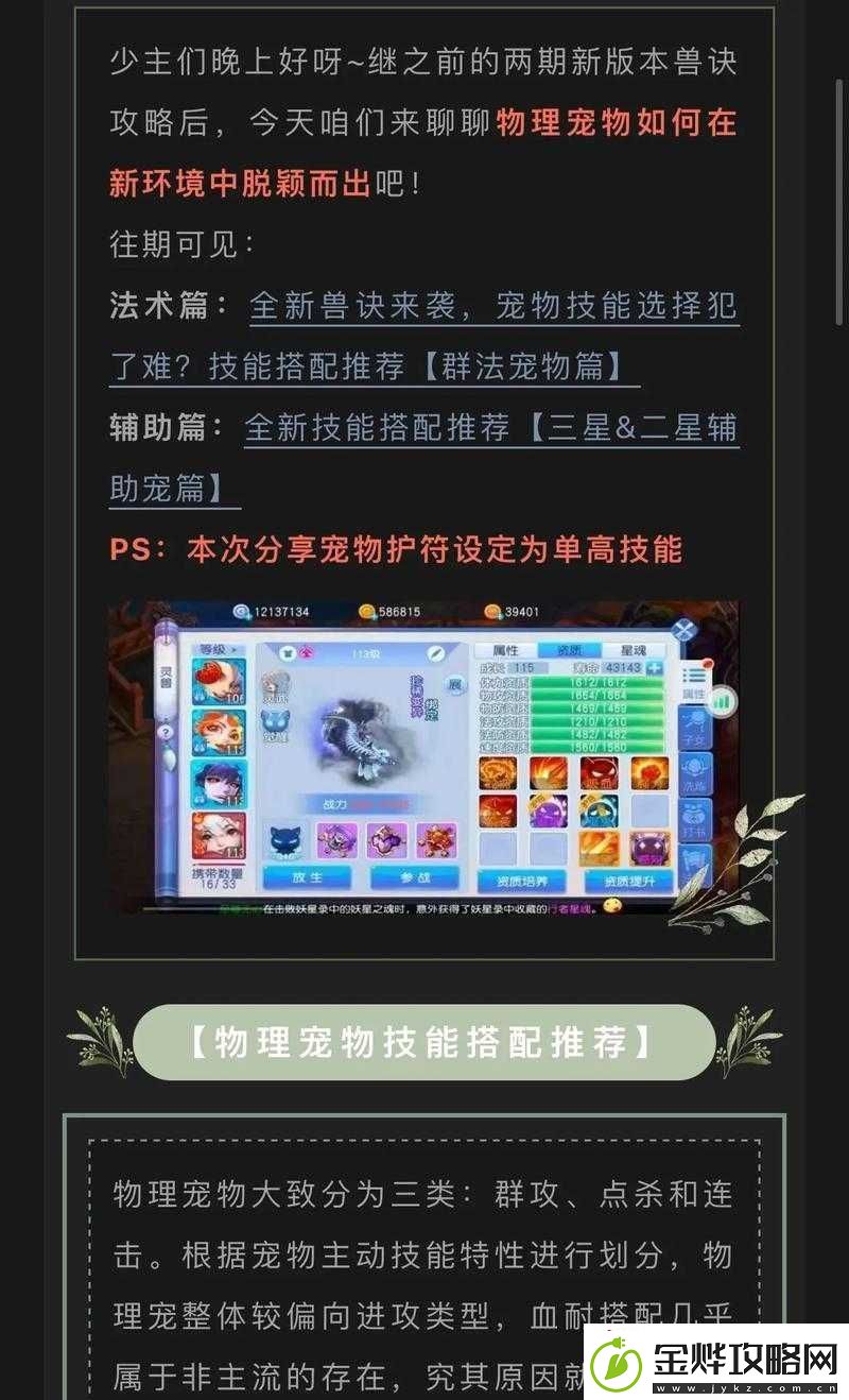 桃花源记手游九儿同伴技能详细解析与使用技巧
