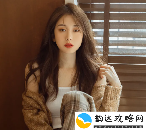 韩国理论大全中的文化与哲学
