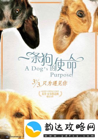 狗狗特工队