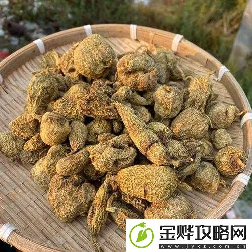缅甸十大黄禁免费看资源汇总