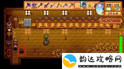 星露谷物语怎么孵小鸡