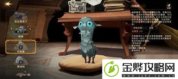 哈利波特魔法觉醒魔法灯谜会答案是什么