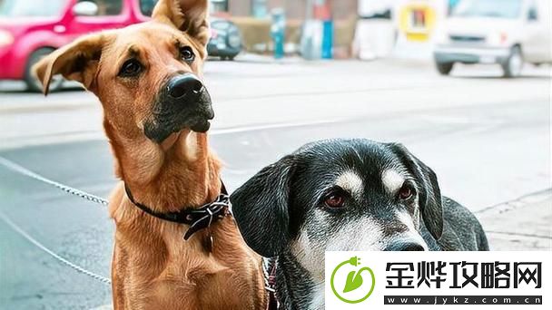重温经典