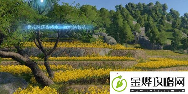 逆水寒手游磁州词话油菜花田任务怎么完成