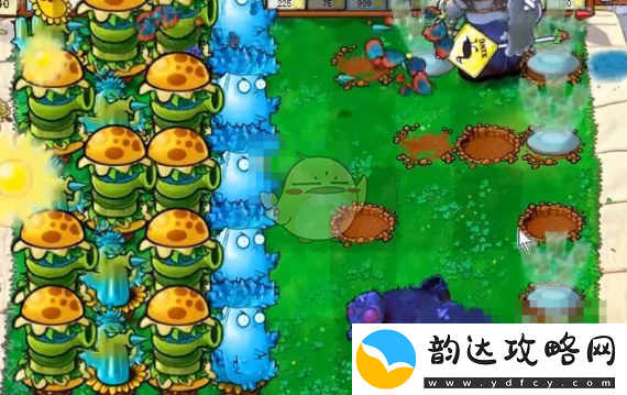植物大战僵尸杂交版挑战模式第66关的最佳通关技巧与策略分享