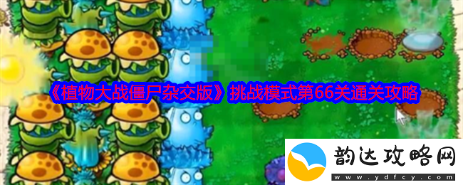 植物大战僵尸杂交版挑战模式第66关的最佳通关技巧与策略分享