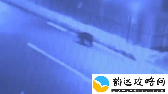 每日私密马赛