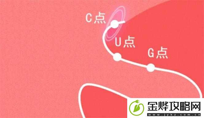 新手如何自