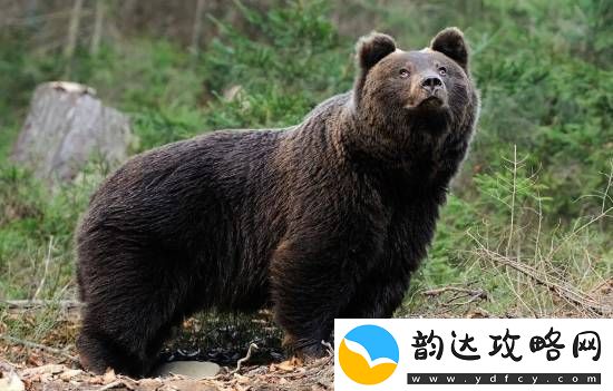 每日私密马赛