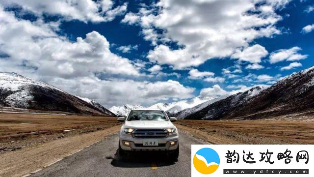 极品飞车集结全新车型