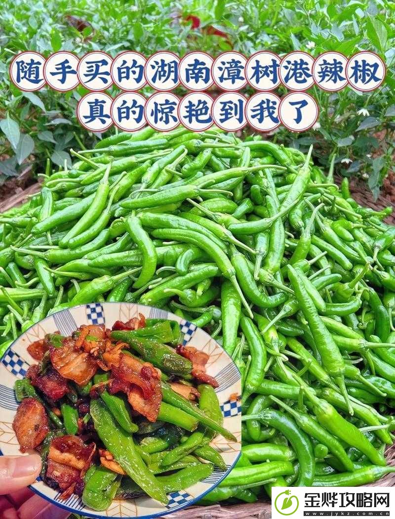 大香区煮伊区