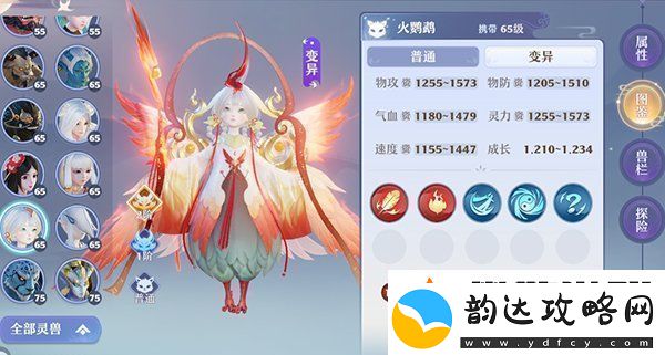 梦幻新诛仙新手宠物怎么选择