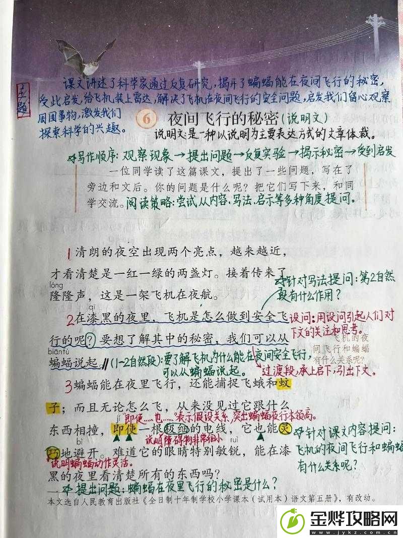 凌晨三点播放的视频叫什么