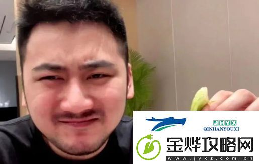 知名CSGO一哥茄子宣布退休