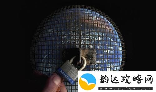 探索新视界