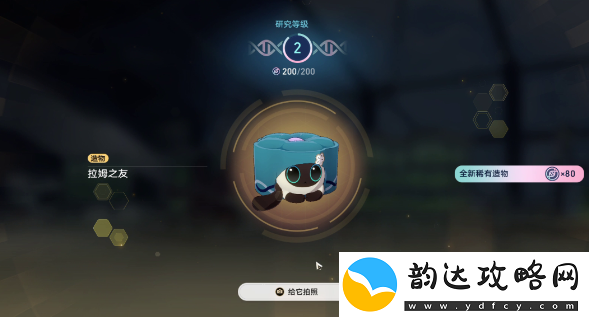 崩坏星穹铁道6异宠拾遗照顾任务怎么完成