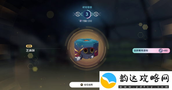崩坏星穹铁道6异宠拾遗照顾任务怎么完成