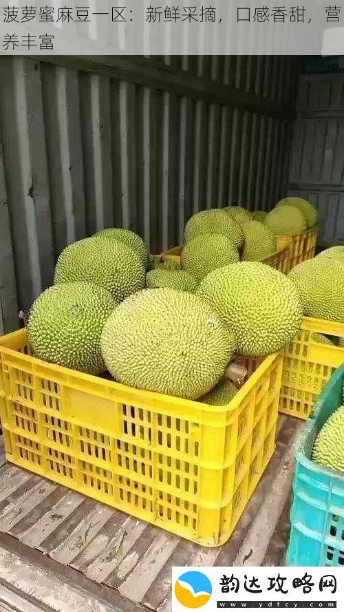 菠萝蜜麻豆一区